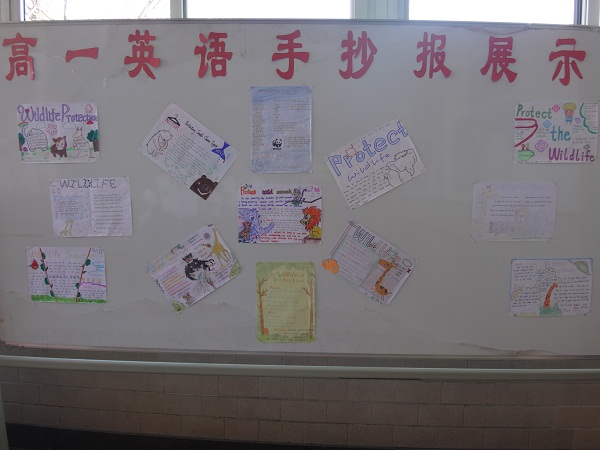 英语濒危动物手抄报