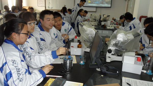 高二学生实验中和热的测定(温度传感器的使用